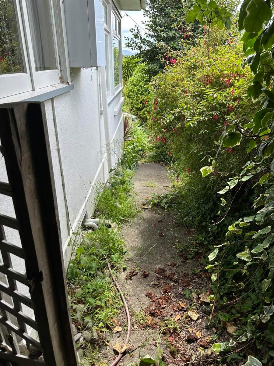 Neatly kept garden and lawn edge