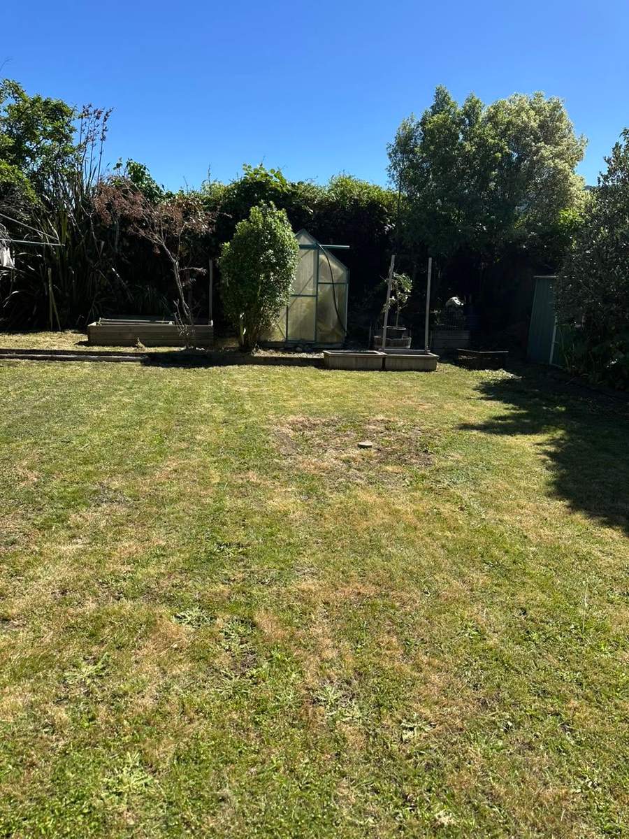 Garden lawn with greenhouse and raised beds