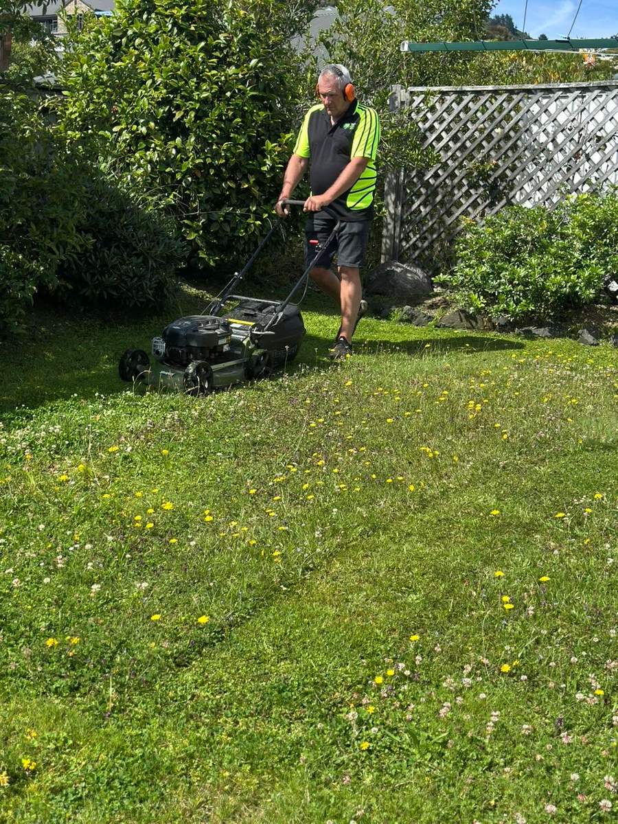 Mowing an overgrown lawn back under control in Marlborough