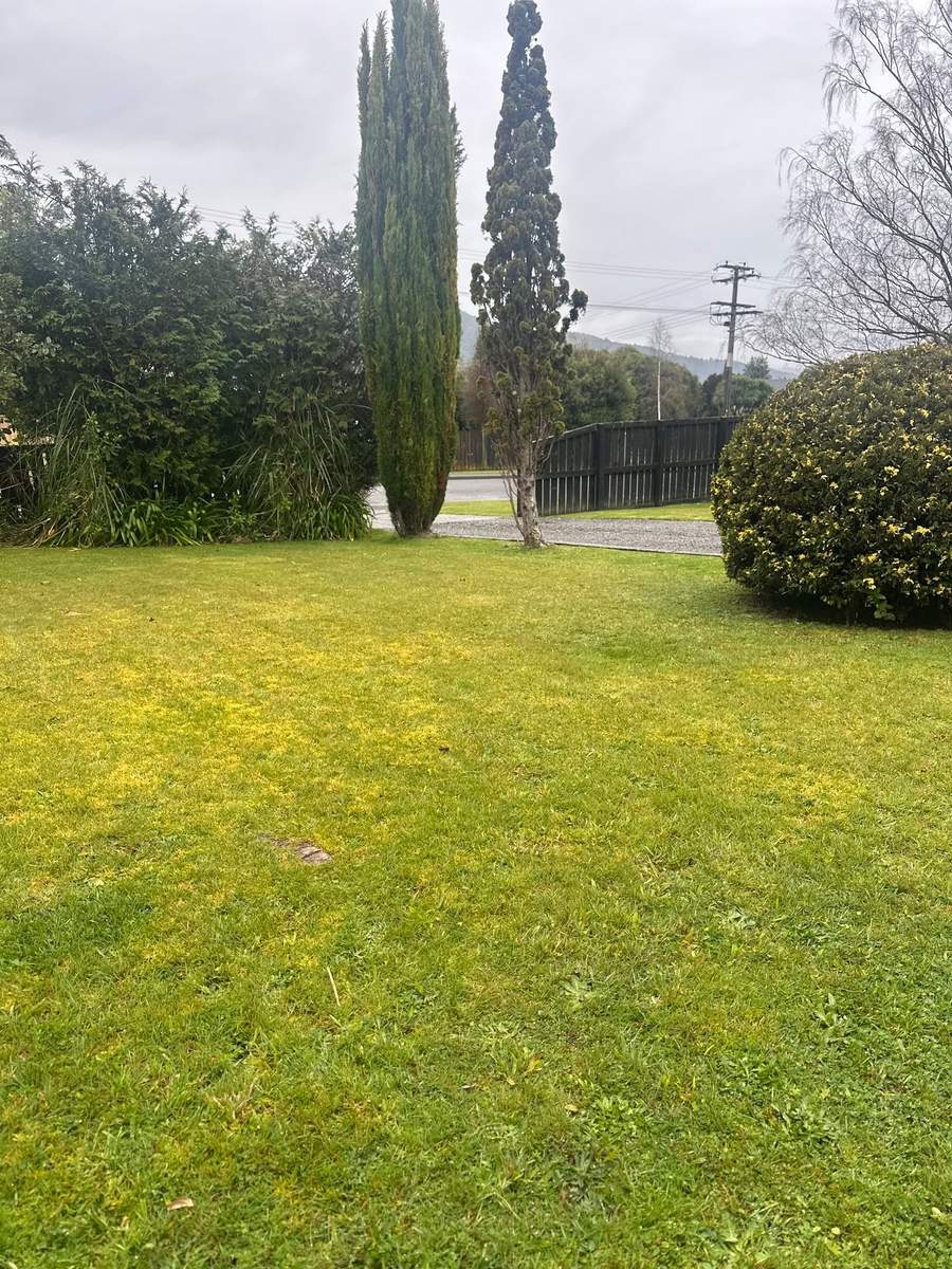 Mowed lawn with cypress trees and roadside fence