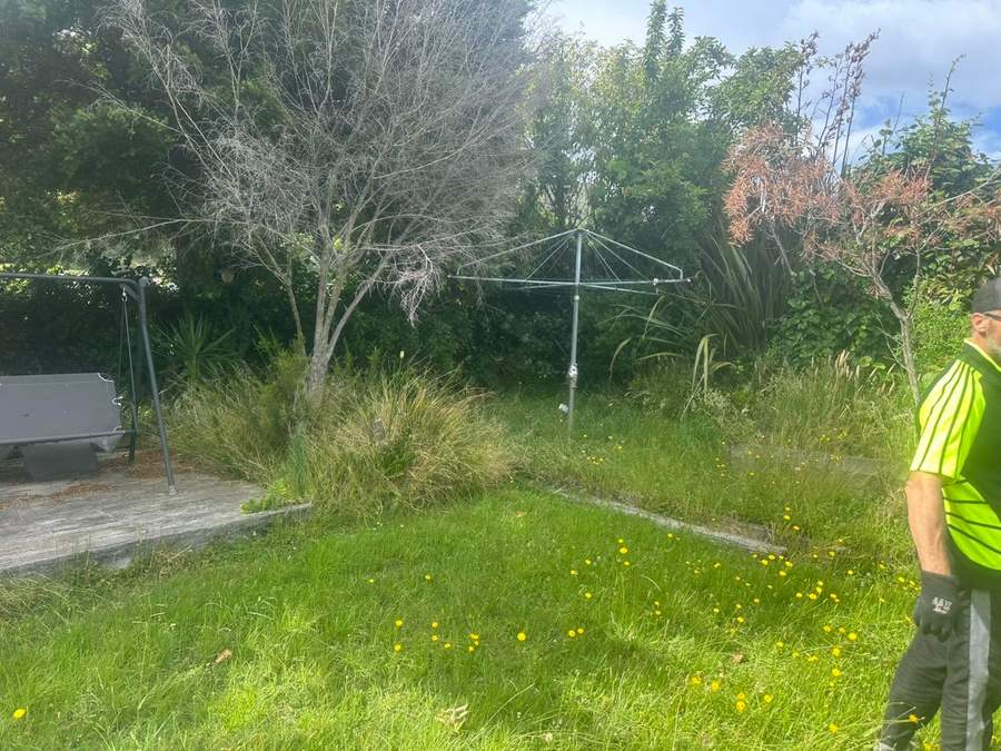 Overgrown lawn before a tidy-up
